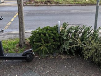 Abholung ausgedienter Weihnachtsbäume in Wiesbaden vom 12. bis 23. Januar