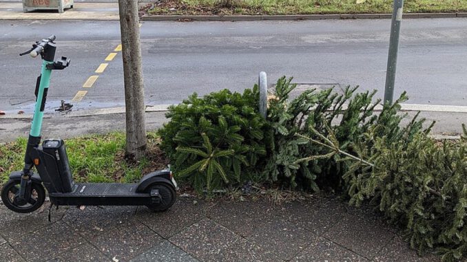 Abholung ausgedienter Weihnachtsbäume in Wiesbaden vom 12. bis 23. Januar