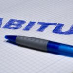 Abitur 2025 Niedersachsen Themen: Prüfungsrelevante Schwerpunkte und Tipps