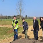 Bierstadt Nord: Zentrales Grün erhält 83 neue Bäume und Spielangebote bis 2026