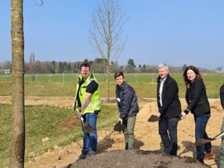 Bierstadt Nord: Zentrales Grün erhält 83 neue Bäume und Spielangebote bis 2026