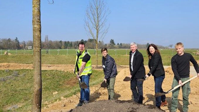 Bierstadt Nord: Zentrales Grün erhält 83 neue Bäume und Spielangebote bis 2026