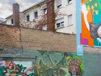 Ehemalige Brandruine in Rüsselsheim wird temporärer Treffpunkt mit Graffiti und Begrünung