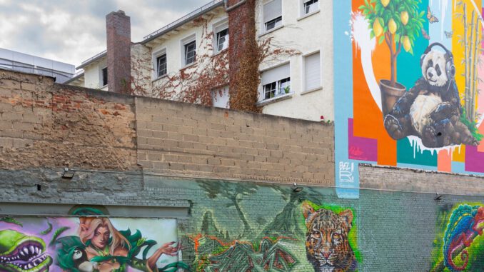 Ehemalige Brandruine in Rüsselsheim wird temporärer Treffpunkt mit Graffiti und Begrünung Ehemalige Brandruine in Rüsselsheim wird temporärer Treffpunkt mit Graffiti und Begrünung