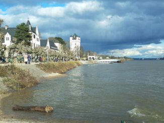 Eltville erneuert historisches Rheinufergeländer unter Wahrung des Erscheinungsbildes