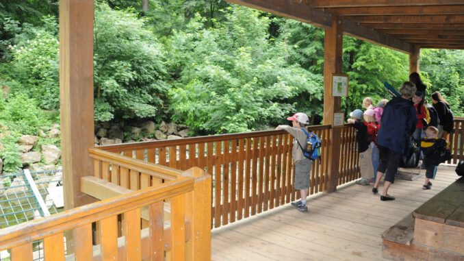 Fasanerie bietet Führung zu Fuchs Luchs und Wildkatze am 28. November