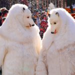 Fasching Weilheim 2024: Highlights, Termine und Tipps für Besucher