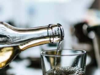 Frankfurt Weinfest 2023 – Rückblick auf Highlights, Weingüter und Besuchertrends