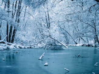 Lebensgefahr auf zugefrorenen Gewässern in Wiesbaden: Schiersteiner Hafen besonders betroffen