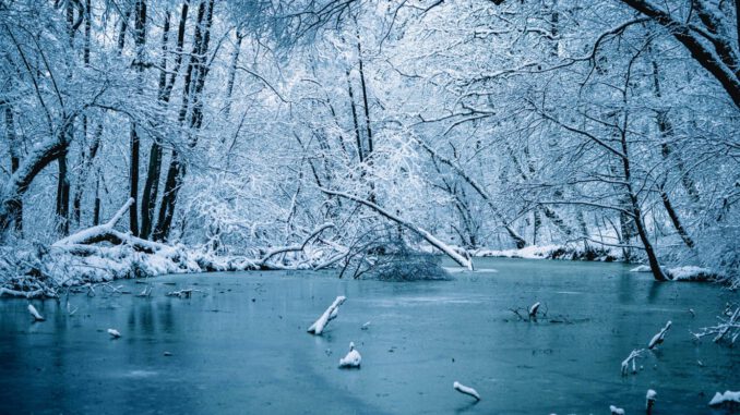 Lebensgefahr auf zugefrorenen Gewässern in Wiesbaden: Schiersteiner Hafen besonders betroffen
