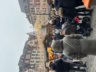 Mainzer Weihnachtsmarkt feiert 50. Auflage mit Sondertasse — Weihnachtsdorf zieht auf Fischtorplatz