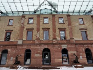 Nordmanntannen aus dem Stadtwald: Verkauf und Selbstschlagen am 13. Dezember