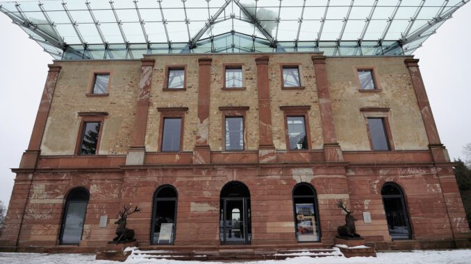 Nordmanntannen aus dem Stadtwald: Verkauf und Selbstschlagen am 13. Dezember Nordmanntannen aus dem Stadtwald: Verkauf und Selbstschlagen am 13. Dezember