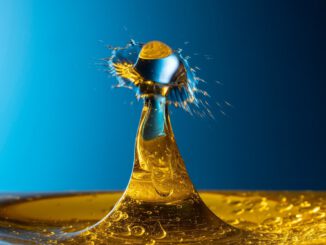 Olivenöl Ernte 2023: Ertrag, Qualität und Tipps zur Lagerung