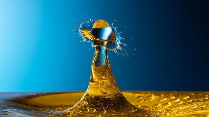 Olivenöl Ernte 2023: Ertrag, Qualität und Tipps zur Lagerung