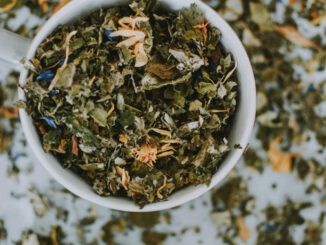 Pflanzenbasierte Kinderpräparate setzen sich beim Startup Booster in Wiesbaden durch