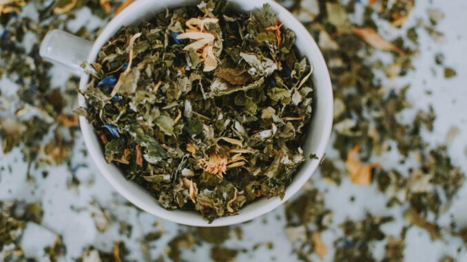 Pflanzenbasierte Kinderpräparate setzen sich beim Startup Booster in Wiesbaden durch Pflanzenbasierte Kinderpräparate setzen sich beim Startup Booster in Wiesbaden durch