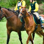 Skyline Cup Frankfurt 2023: Sieger, Highlights und Rennanalyse