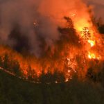 Waldbrandstufe 5 in Wiesbaden: Grillverbot auf städtischen Plätzen bleibt in Kraft