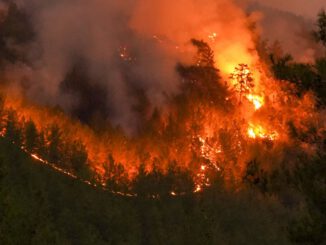 Waldbrandstufe 5 in Wiesbaden: Grillverbot auf städtischen Plätzen bleibt in Kraft