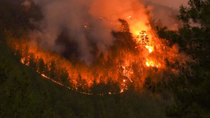 Waldbrandstufe 5 in Wiesbaden: Grillverbot auf städtischen Plätzen bleibt in Kraft