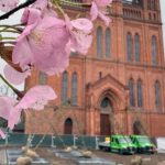 Wiesbaden pflanzt 24 Bäume auf dem Schlossplatz und installiert unterirdische Bewässerung