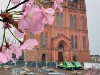 Wiesbaden pflanzt 24 Bäume auf dem Schlossplatz und installiert unterirdische Bewässerung